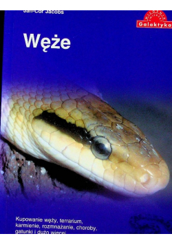 Węże