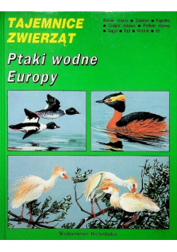 Tajemnice zwierząt Ptaki wodne Europy