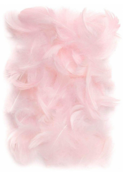 Piórka różowe 5-12cm 10g