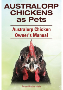 Australorp Chickens as Pets. Australorp Chicken Owner's Manual.