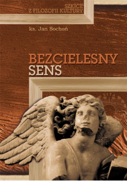 Bezcielesny sens. Szkice z filozofii kultury