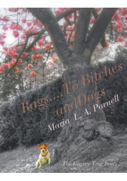 Rags ....to Bitches and Dogs