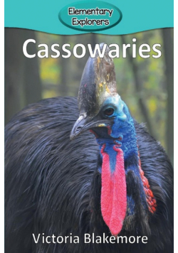 Cassowaries