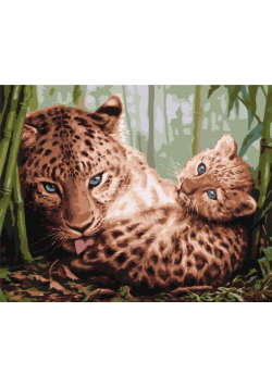 Malowanie po numerach - Czułość 40x50cm