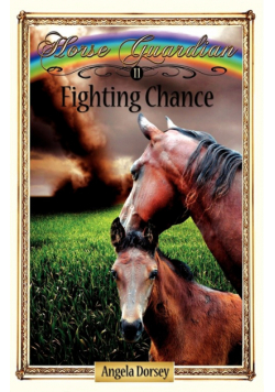 Fighting Chance
