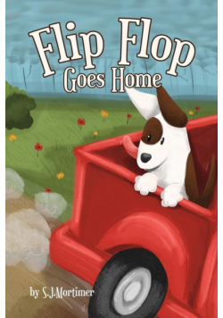 Flip Flop Goes Home