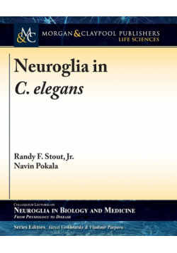 Neuroglia in C. elegans