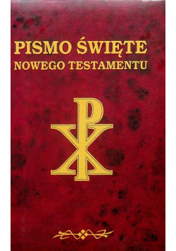 Pismo święte nowego testamentu 2002