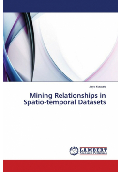 Mining Relationships in Spatio-temporal Datasets