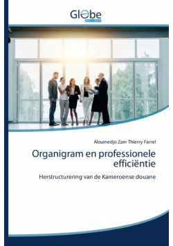 Organigram en professionele efficiëntie