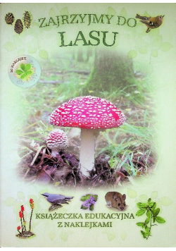 Zajrzyjmy do lasu