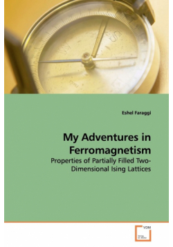 My Adventures in Ferromagnetism