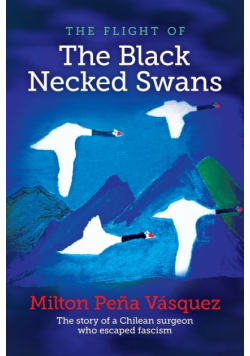 the flight of The Black Necked Swans
