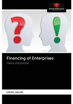 Financing of Enterprises