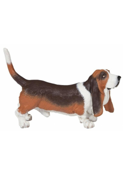 Basset