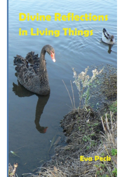 Divine Reflections in Living Things