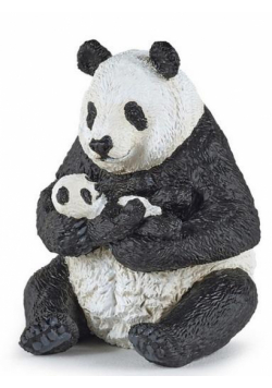 Panda z młodym siedząca