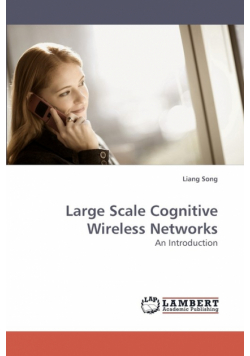 Large Scale Cognitive Wireless Networks