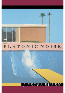 Platonic Noise
