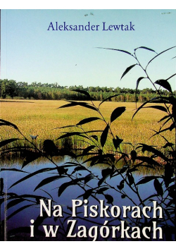Na piskorach i w zagórkach