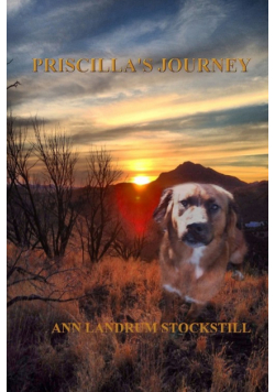 Priscilla's Journey