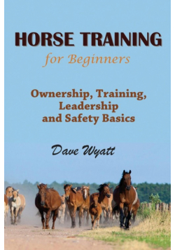 Horse Training for Beginners