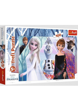Puzzle 100 Zaczarowana Kraina TREFL
