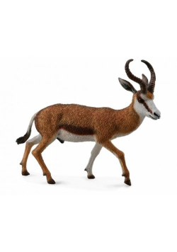 Kozioł springbok