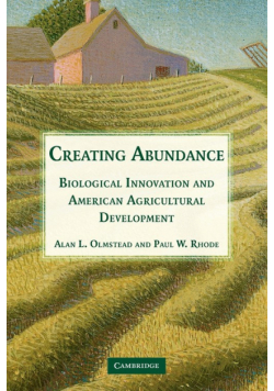 Creating Abundance