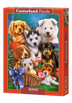 Puzzle 1000 Puppies CASTOR