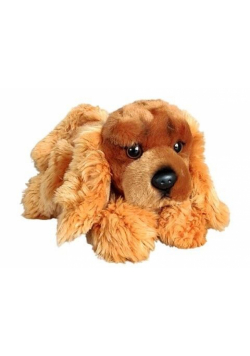 Spaniel 30cm