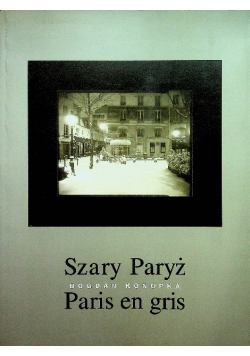 Szary Paryż Paris en gris