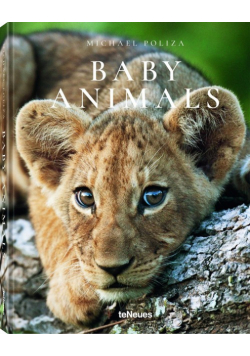 Baby Animals