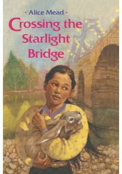 Crossing the Starlight Bridge
