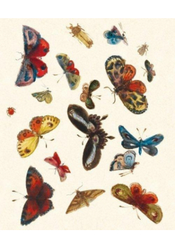 Karnet z kopertą Butterfly design decorati