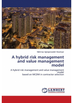 A hybrid risk management and value management model