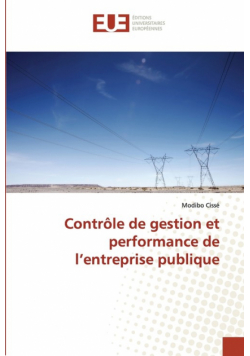 Contrôle de gestion et performance de l entreprise publique