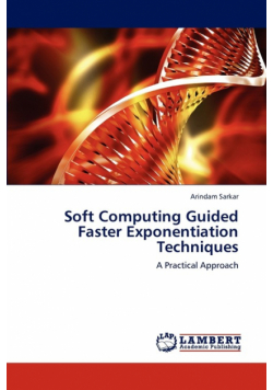 Soft Computing Guided Faster Exponentiation Techniques