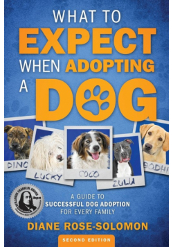 What to Expect When Adopting a Dog