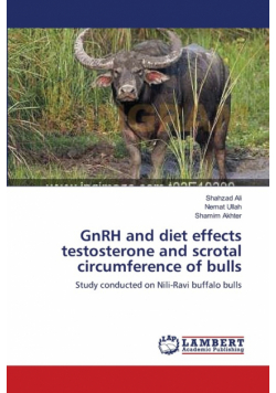 GnRH and diet effects testosterone and  scrotal circumference of bulls