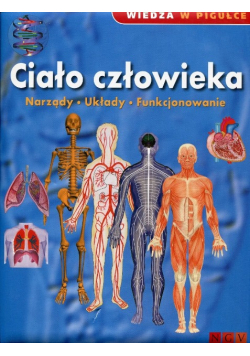 Wiedza w pigułce ciało człowieka narządy