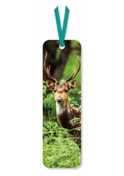 Zakładka do książki Chital Deer