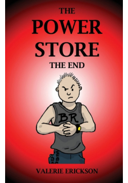 The Power Store