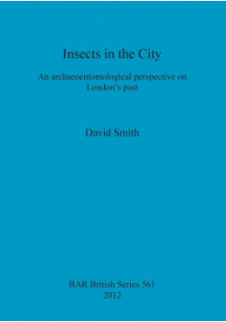 Insects in the City