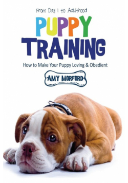 Puppy Training