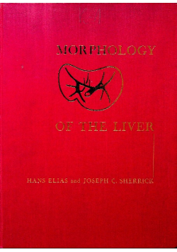 Morphology of the liver