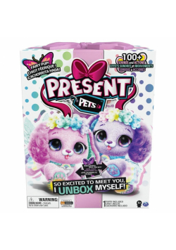 Present Pets - Tęczowa Wróżka