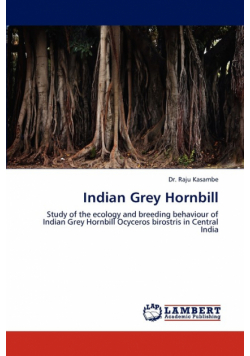 Indian Grey Hornbill
