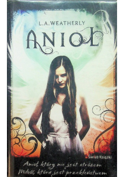 Anioł