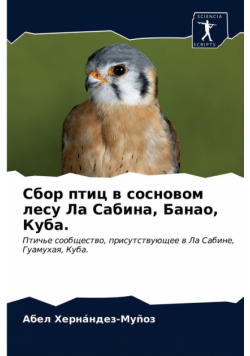 Сбор птиц в сосновом лесу Ла Сабина, Банао, Куба.